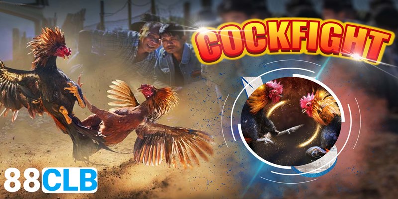 Đá Gà HZ88 Đá gà HZ88 là chuyên mục game đổi thưởng “ăn khách” tại sân chơi trực tuyến